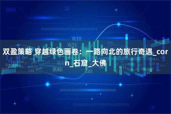 双盈策略 穿越绿色画卷:一路向北的旅行奇遇_corn_石窟_大佛